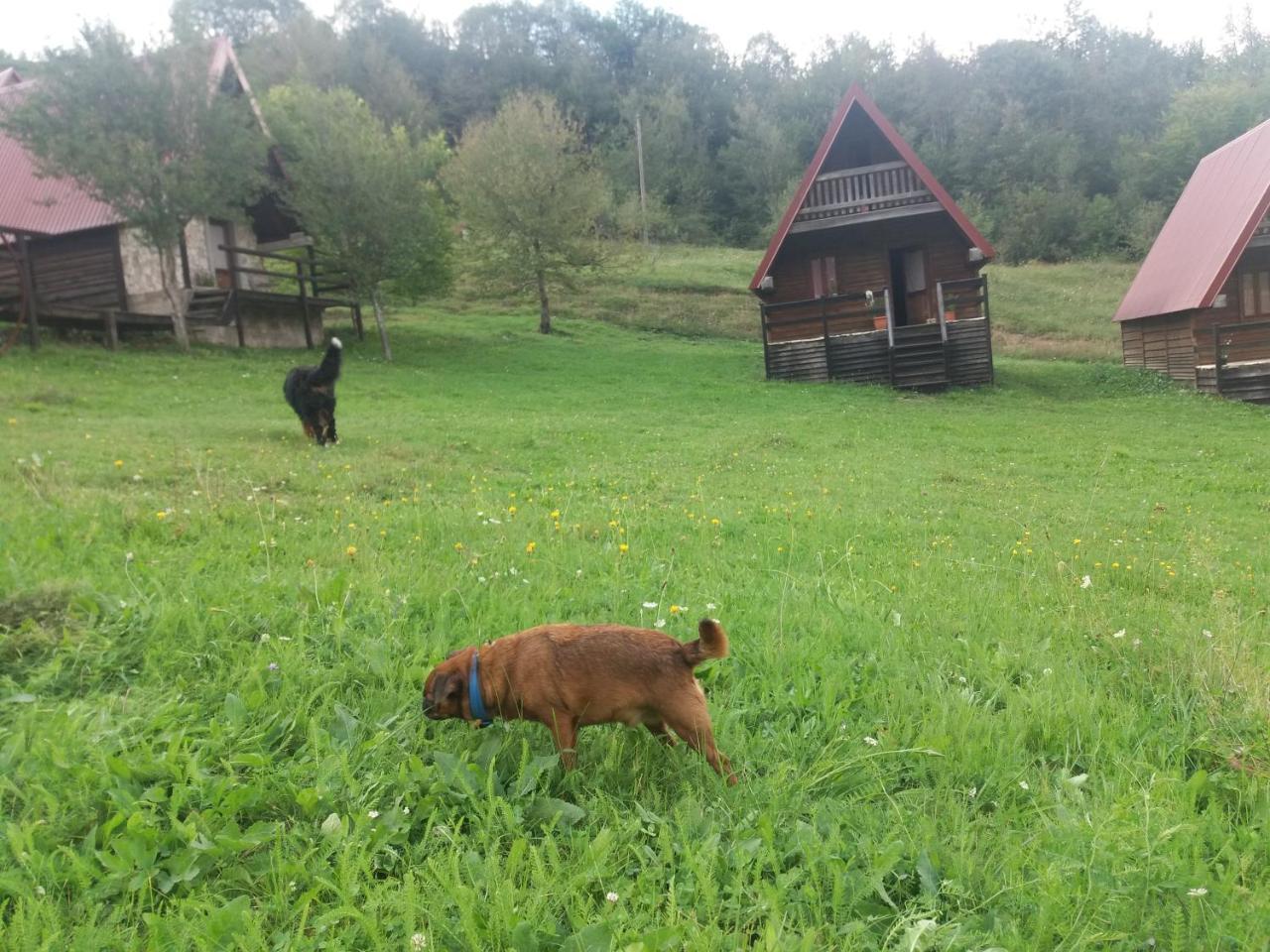 Etno Village Vojnik Savnik Екстериор снимка