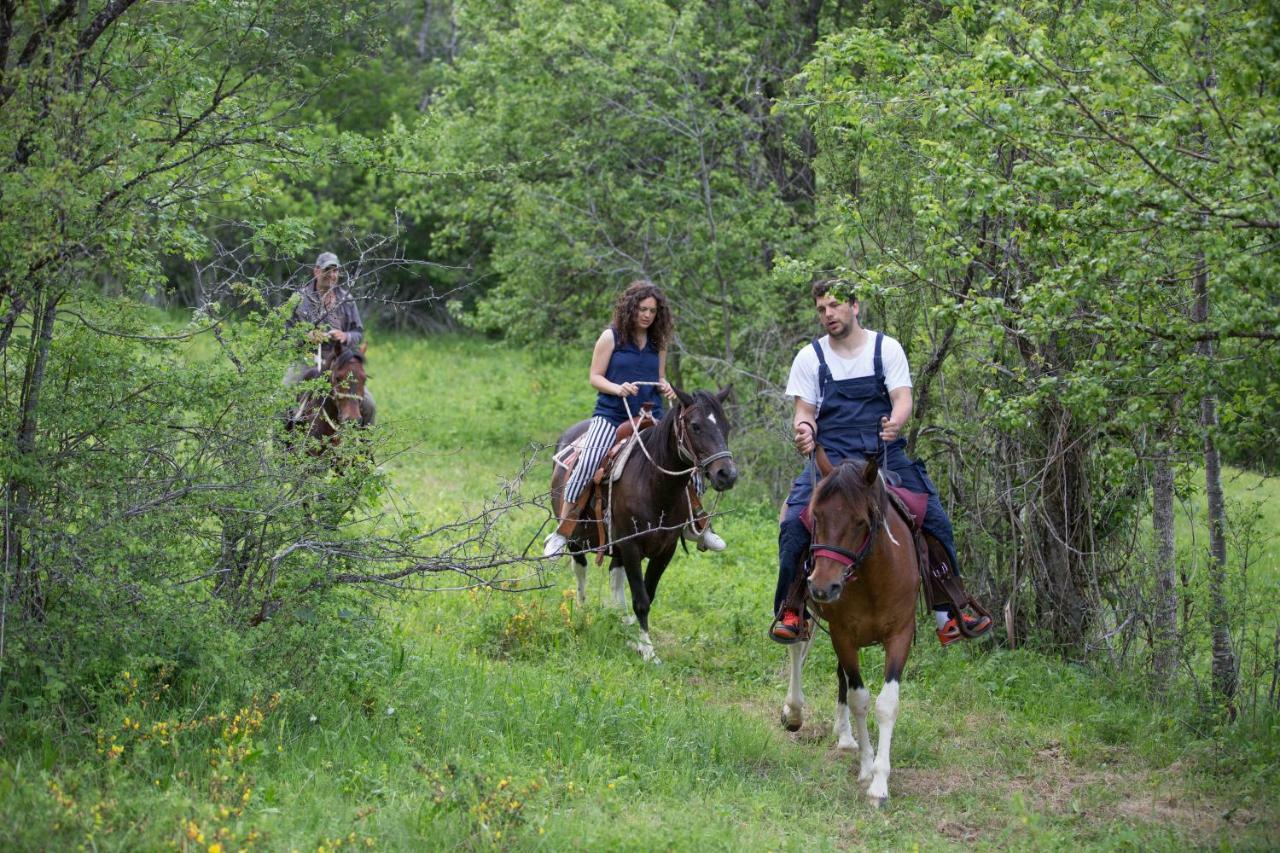 Etno Village Vojnik Savnik Екстериор снимка