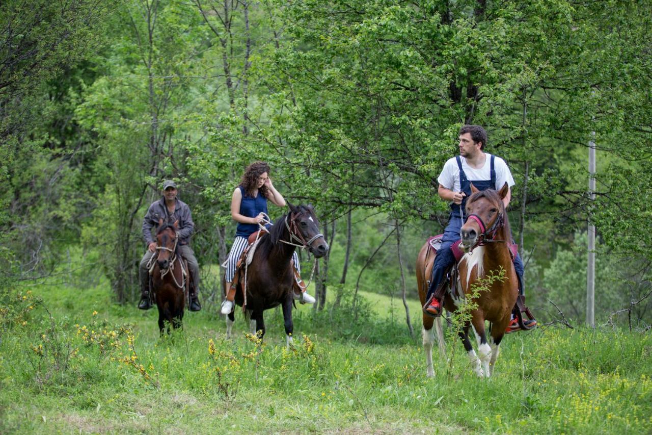Etno Village Vojnik Savnik Екстериор снимка