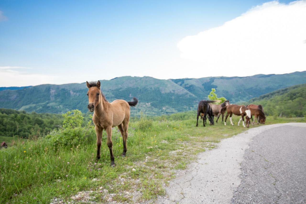 Etno Village Vojnik Savnik Екстериор снимка